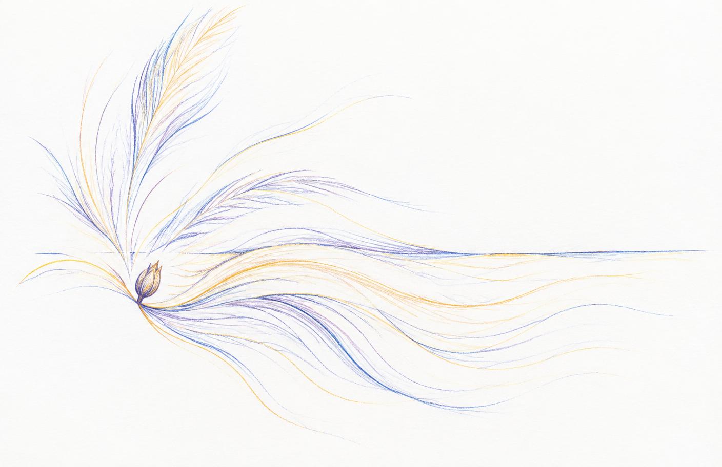 Lignes au crayon partant d'un bourgeon et s'ouvrant vers l'extérieur